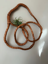 Load image into Gallery viewer, Handmade brown leather wall sculpture with flowing organic circular lines mounted with a plant on a grey background