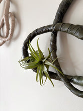 Load image into Gallery viewer, Loop Wall Sculpture in Green